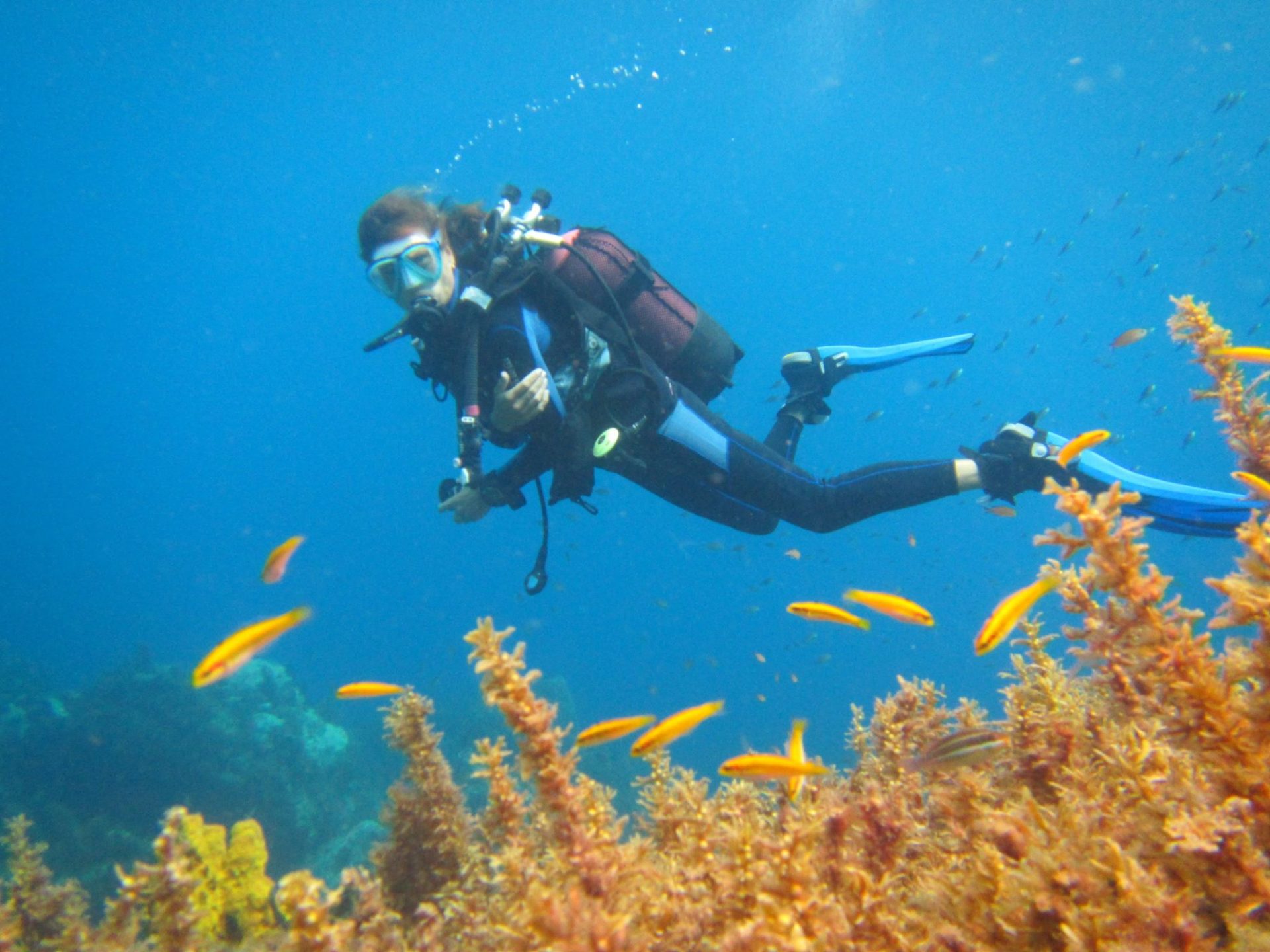 Plongées exploration